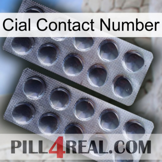 Cial Contact Number 31